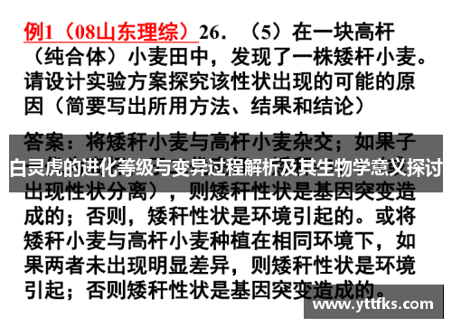白灵虎的进化等级与变异过程解析及其生物学意义探讨